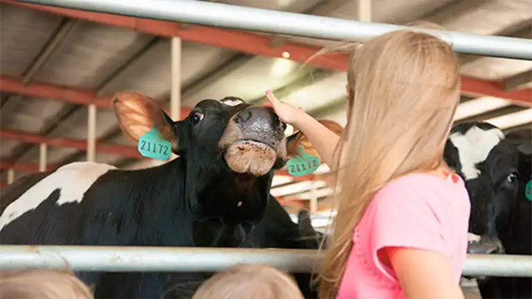 Pagel's Ponderosa Dairy LLC