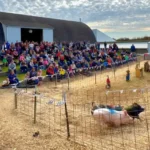 Pleasure Valley Pumpkins4 150x150