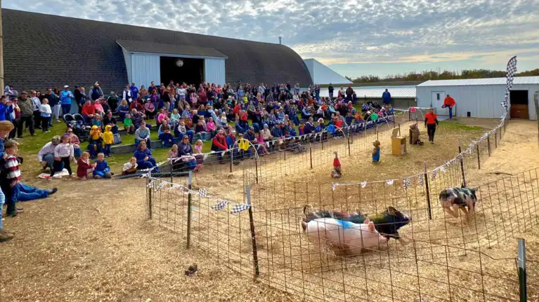 Pleasure Valley Pumpkins4