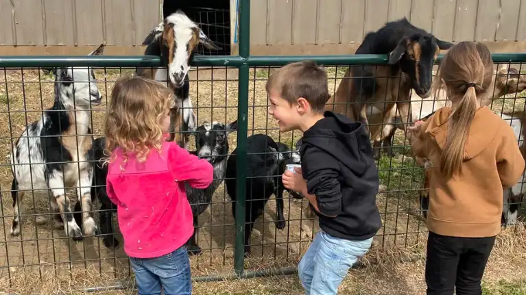 Pleasure Valley Pumpkins5