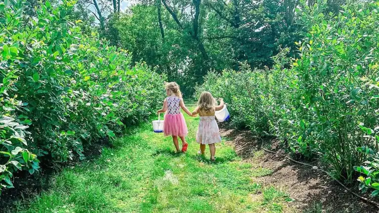 Plover Area Convention and Visitors Bureau