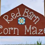 Red Barn Corn Maze