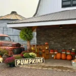 Schairer's Autumn Acres