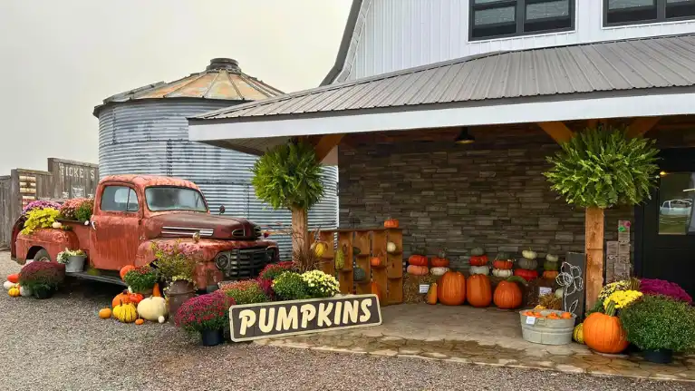 Schairer's Autumn Acres