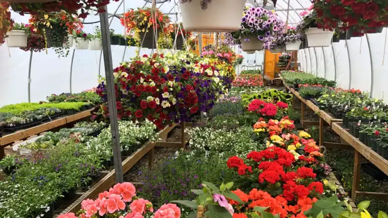 Schairer's Autumn Acres