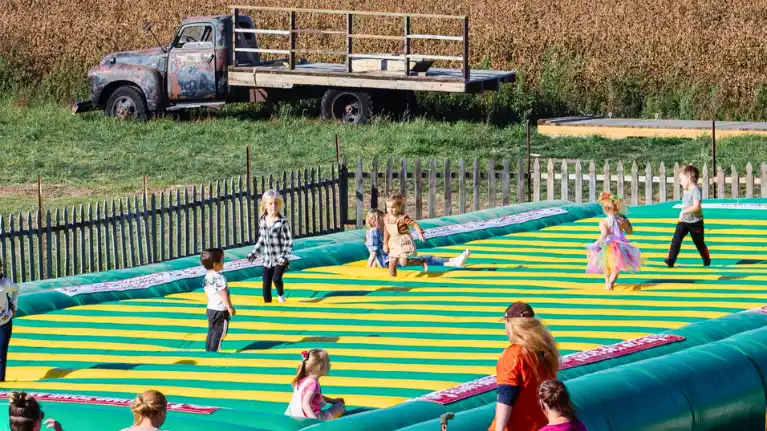 Schuster's Playtime Farm