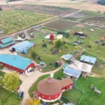 Schuster's Playtime Farm