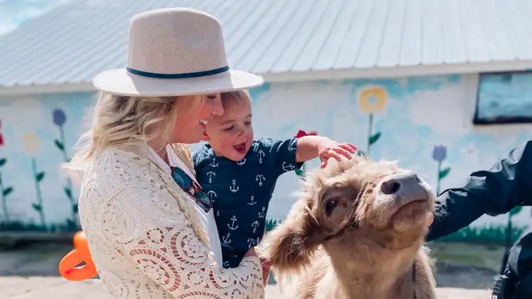 Schuster's Playtime Farm