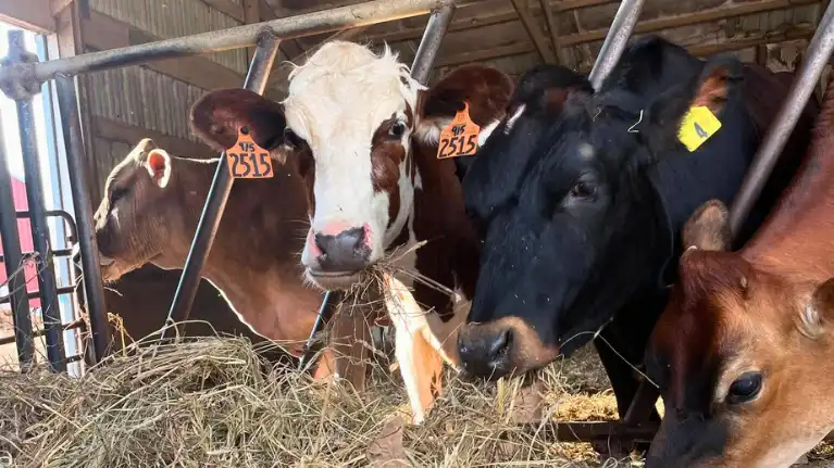 Schwittay Farms LLC2