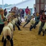 Shawno County Fair and Speedway