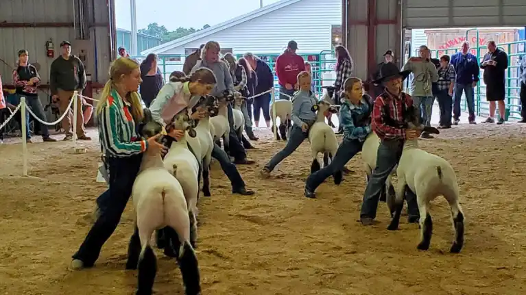 Shawno County Fair and Speedway