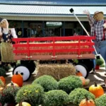 Skelly's Farm Market