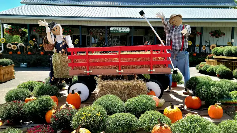 Skelly's Farm Market