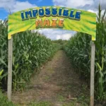 Skelly's Farm Market