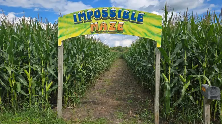 Skelly's Farm Market