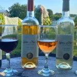 Spirits of Norway Vineyard