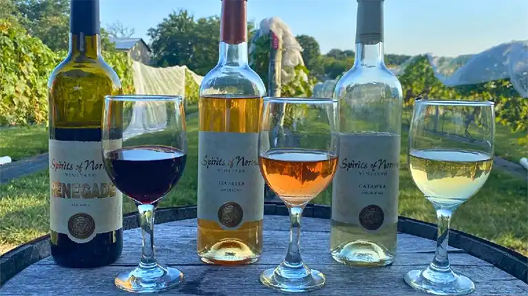 Spirits of Norway Vineyard