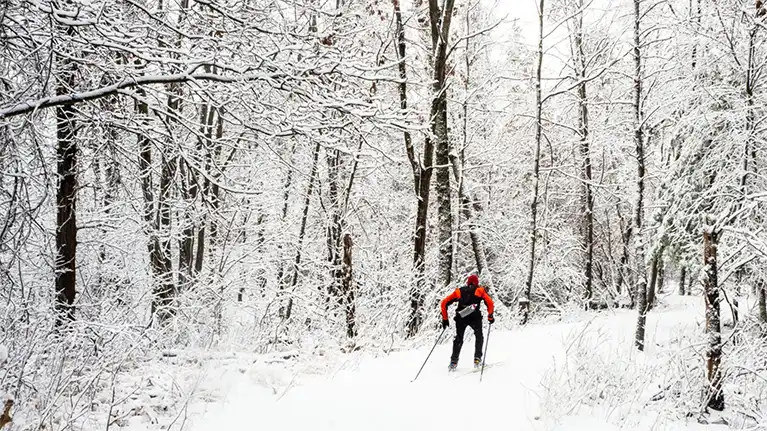 Stevens Point Area Convention Visitors Bureau3