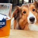 Stevens Point Area Convention Visitors Bureau4 150x150