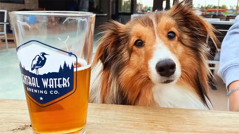 Stevens Point Area Convention Visitors Bureau4