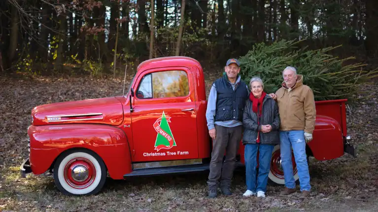 Summers Christmas Tree Farm