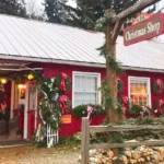 Summers Christmas Tree Farm