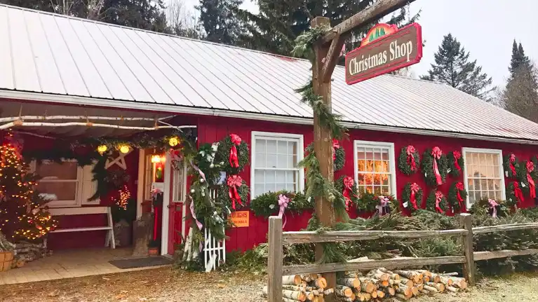 Summers Christmas Tree Farm