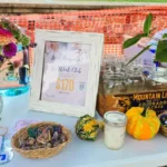 Sunnyside Dreams Farm