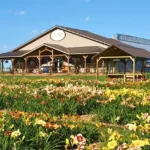 Tender Shoots Garden & Greenhouse LLC