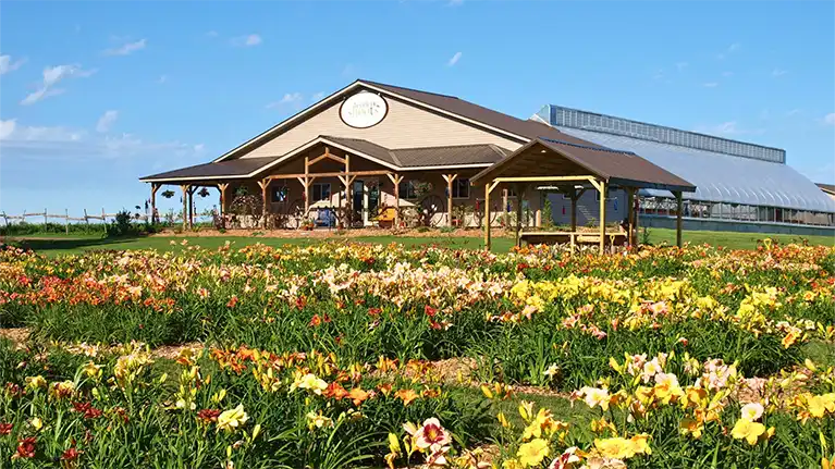 Tender Shoots Garden & Greenhouse LLC