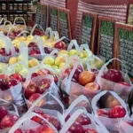 The Little Farmer Orchard and Farm Market