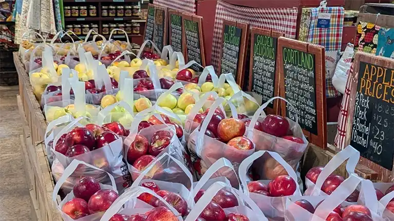 The Little Farmer Orchard and Farm Market