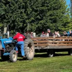 The Little Farmer Orchard and Farm Market