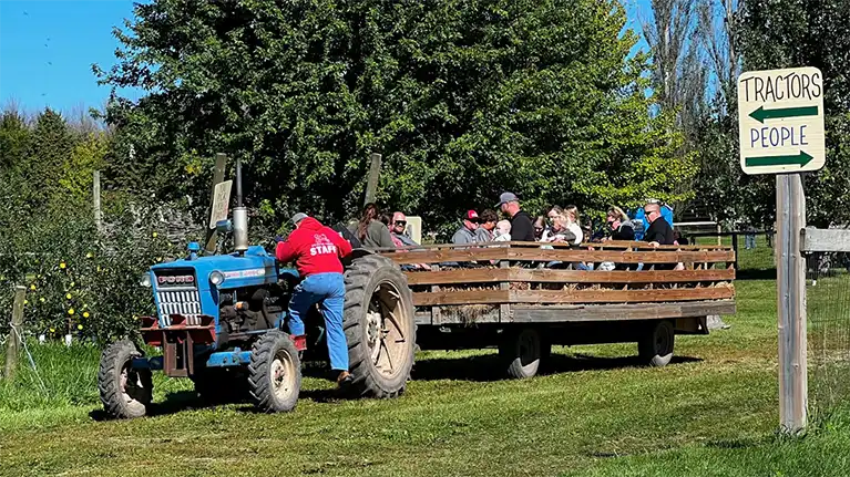 The Little Farmer Orchard and Farm Market
