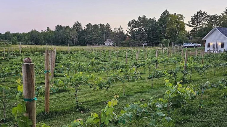 Two Bees A Bud Flower Farm