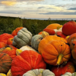 Visit Sheboygan 1 2 150x150