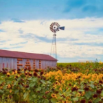 Visit Sheboygan 2 2 150x150