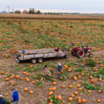 Visit Sheboygan 3 2 150x150