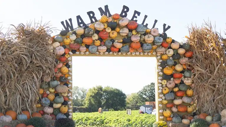 Warm Belly Farms