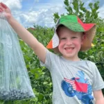 White Pine Berry Farm