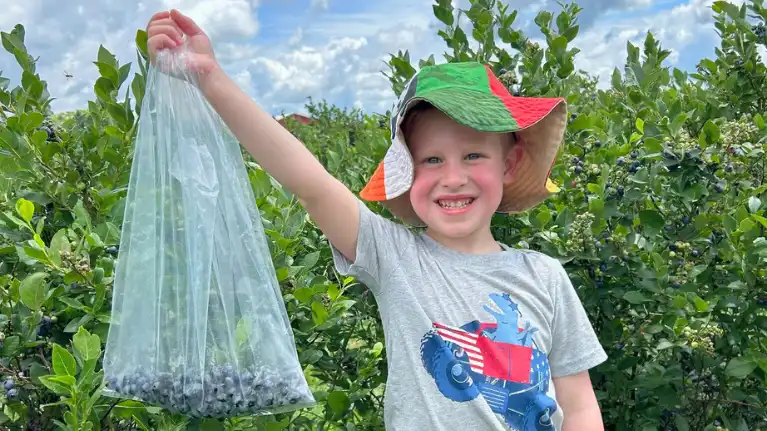 White Pine Berry Farm