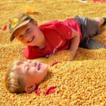 White Pine Berry Farm