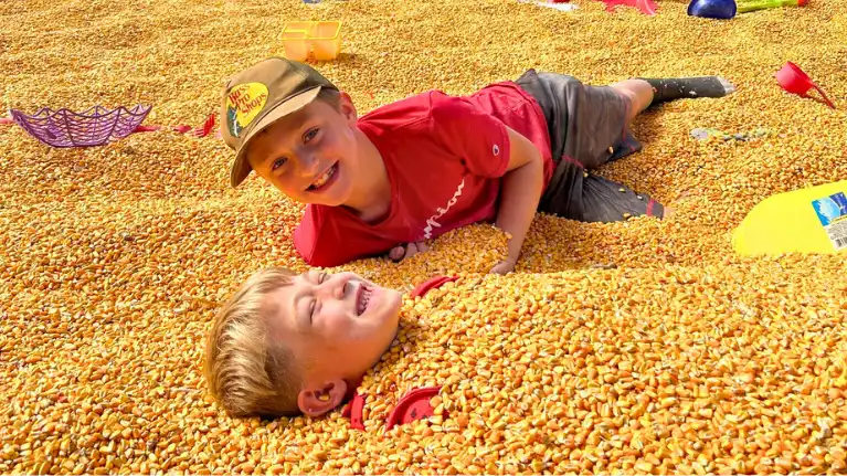 White Pine Berry Farm