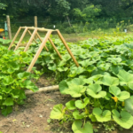 Wisconsin Farmers Union 1 1 150x150