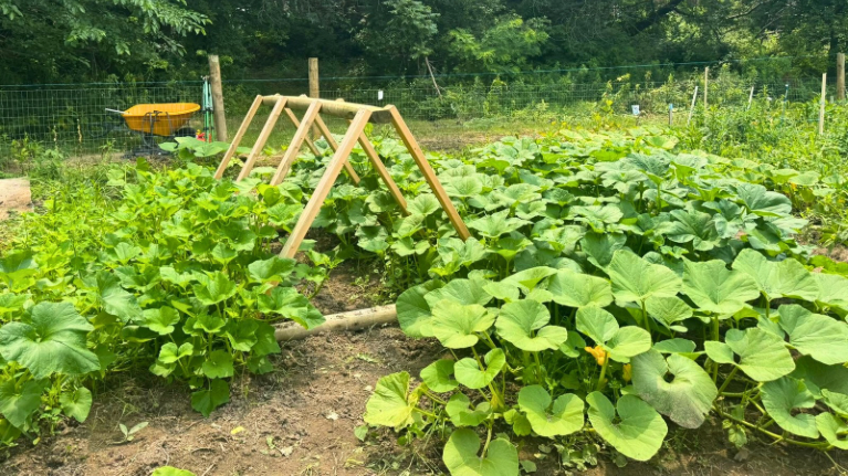 Wisconsin Farmers Union 1 1