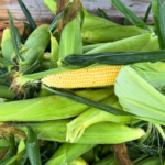 Wisconsin Farmers Union 3 1 150x150