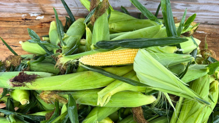 Wisconsin Farmers Union 3 1