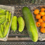 Wisconsin Farmers Union 5 150x150