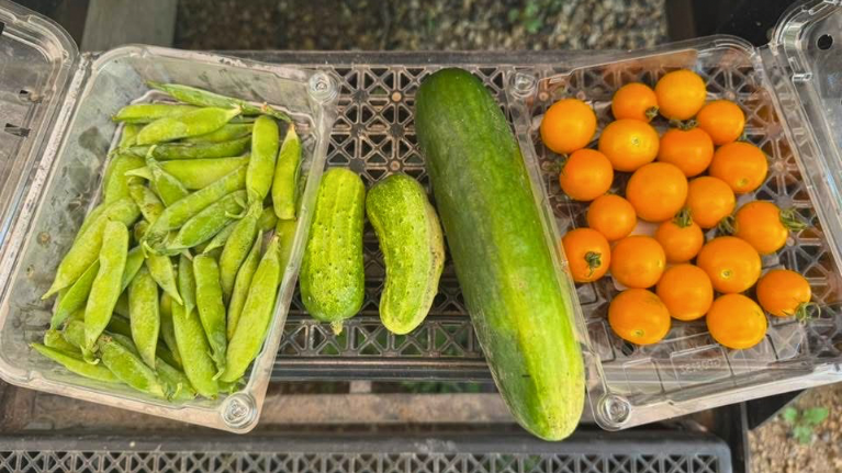 Wisconsin Farmers Union 5