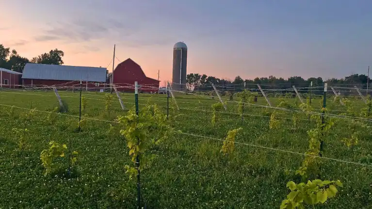 Wolf and Fox Winery at Woelfel Homestead